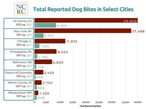 City notes increase in animal bite cases .